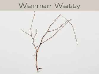 Werner Watty